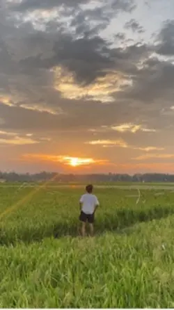 filter senja