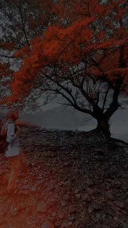 dil de diya hai II