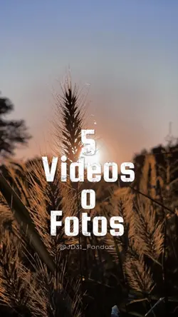 5 Videos o Fotos