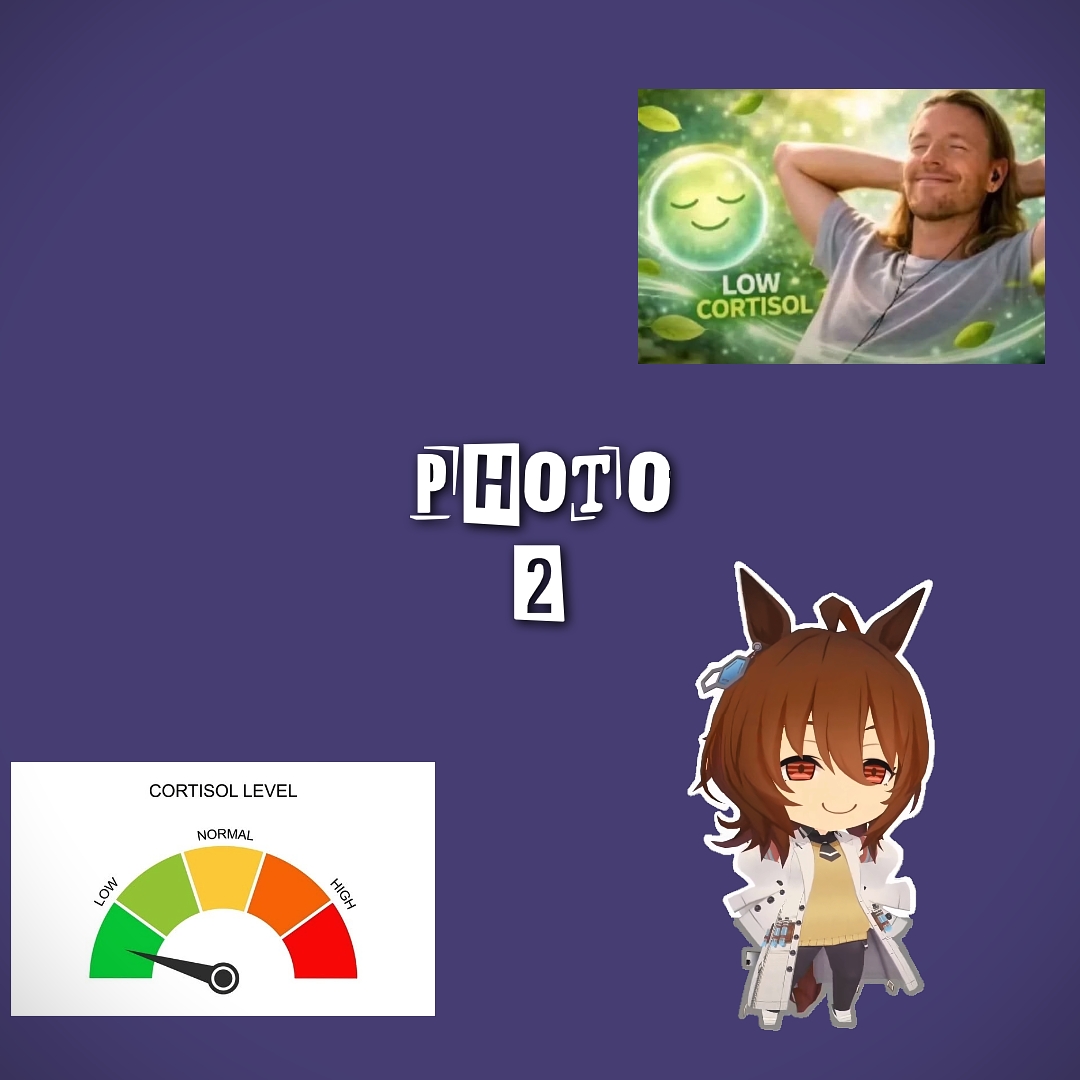 Cortisol baixo