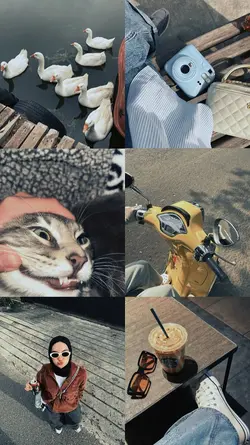 6 pict