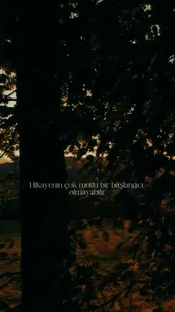|Hikayenin kalanı 