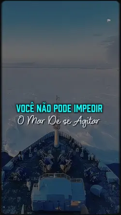 Reflexão do Dia 