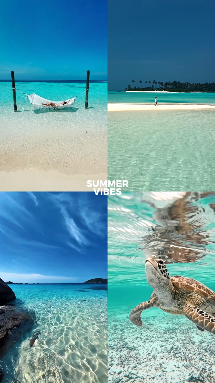 summer vibes