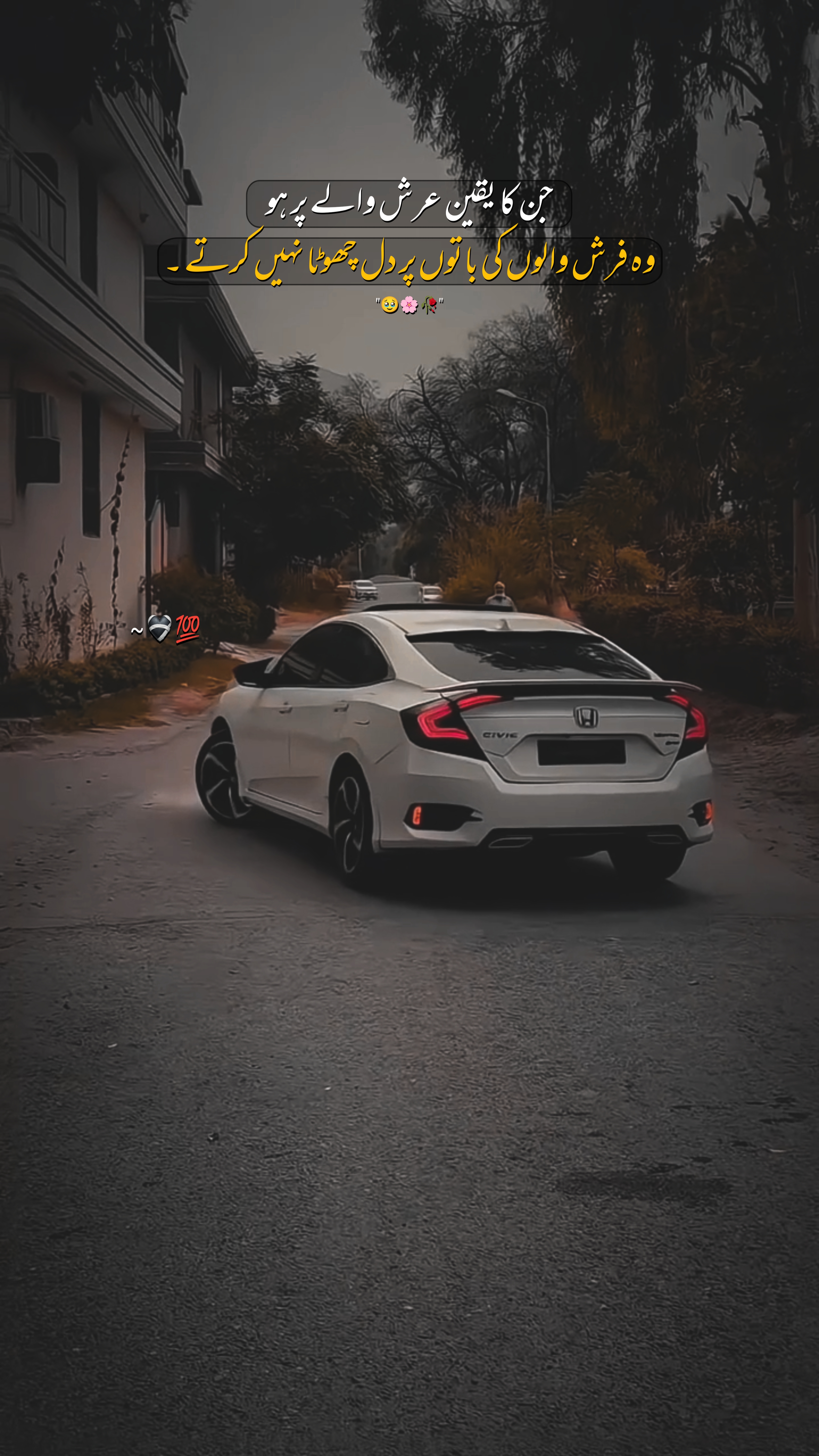 Líneas | # 585