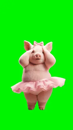 Hey Macarena Pig