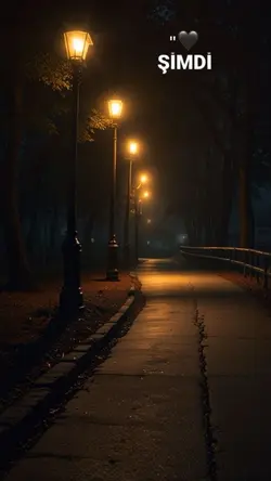 Yalnızmıyürüyeceğim