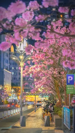 きれいなくなっちゃた