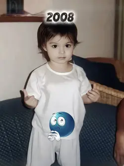 2008/2026
