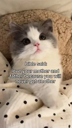 bible said: