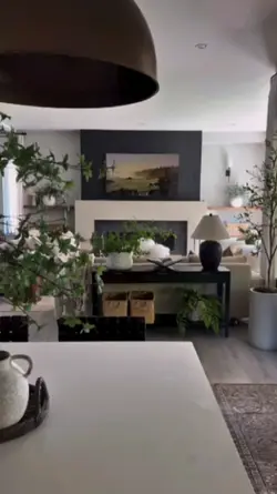 clean the house