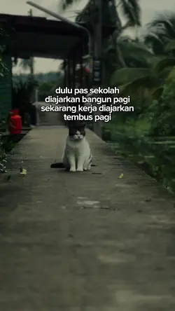Bahan sw