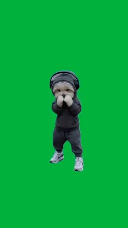 Dog training