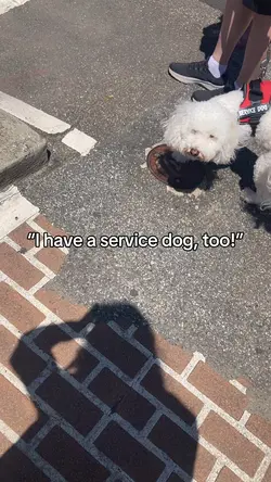 “My dog’s a SD too!”