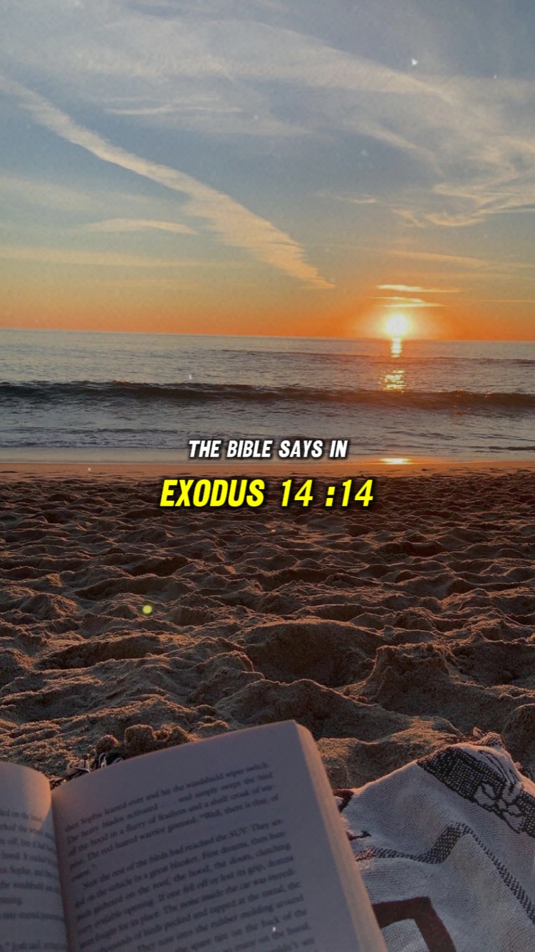 Éxodo 14: 14