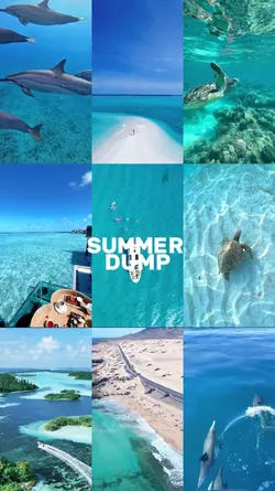 SUMMER DUMP