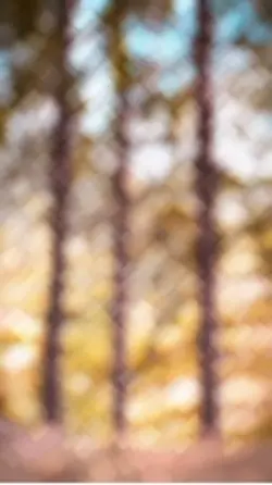 Tik tok trend | HD ☠️