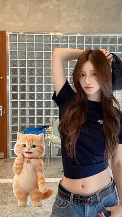 kucing joget viral
