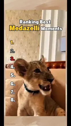 Medazelli Moments