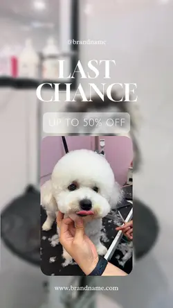 pet shop