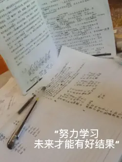 努力学习,未来才能有好结果