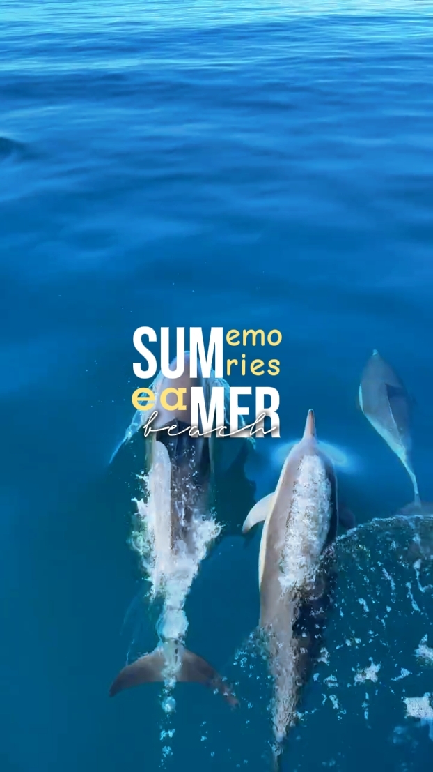 SUMMER MEMORIES