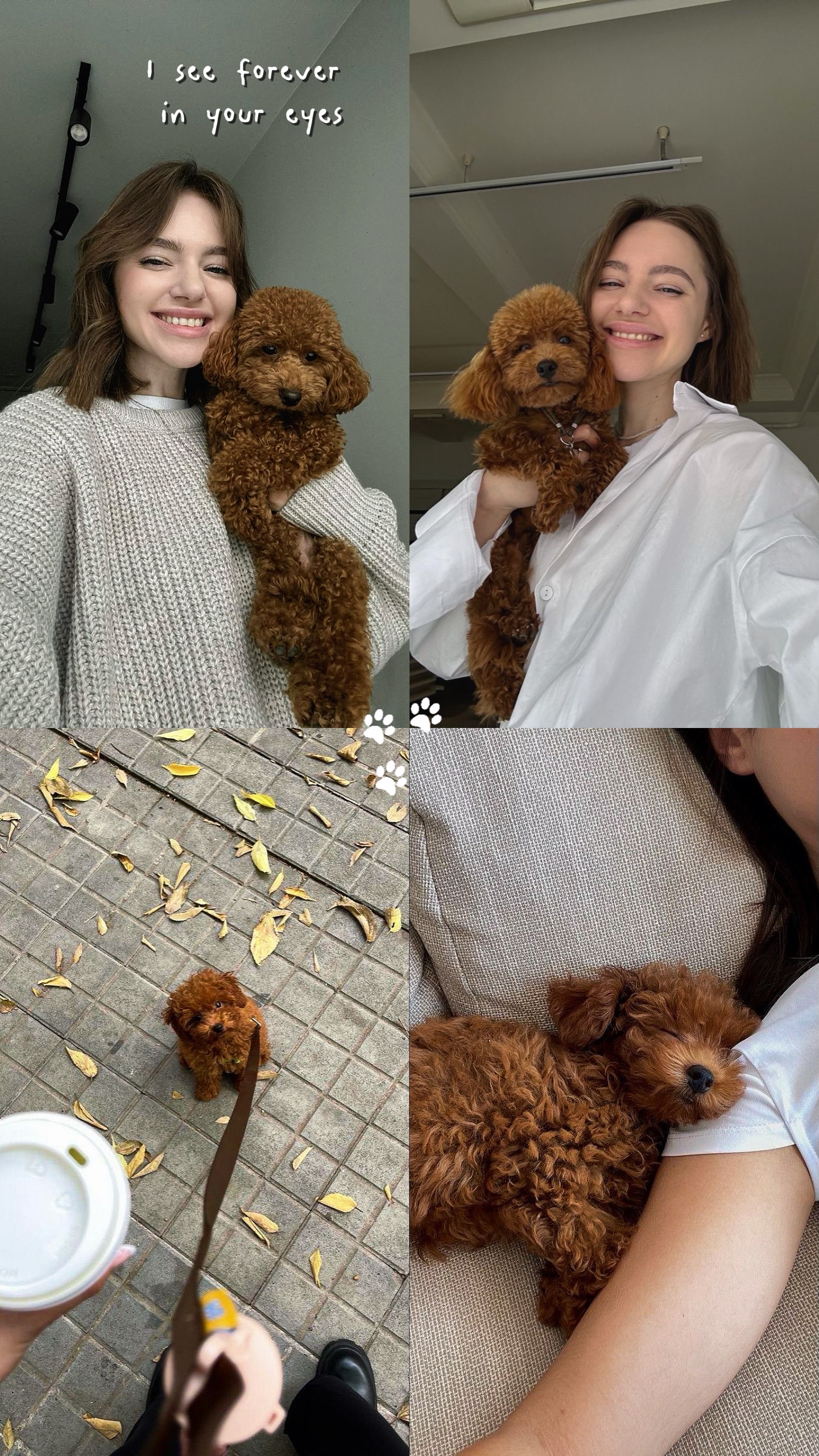 4 foto