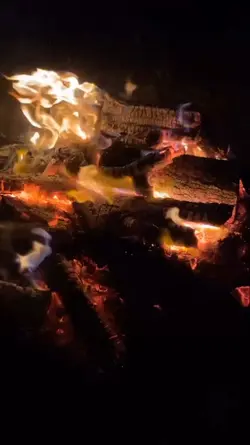 yaşasam mı ölsem mi?