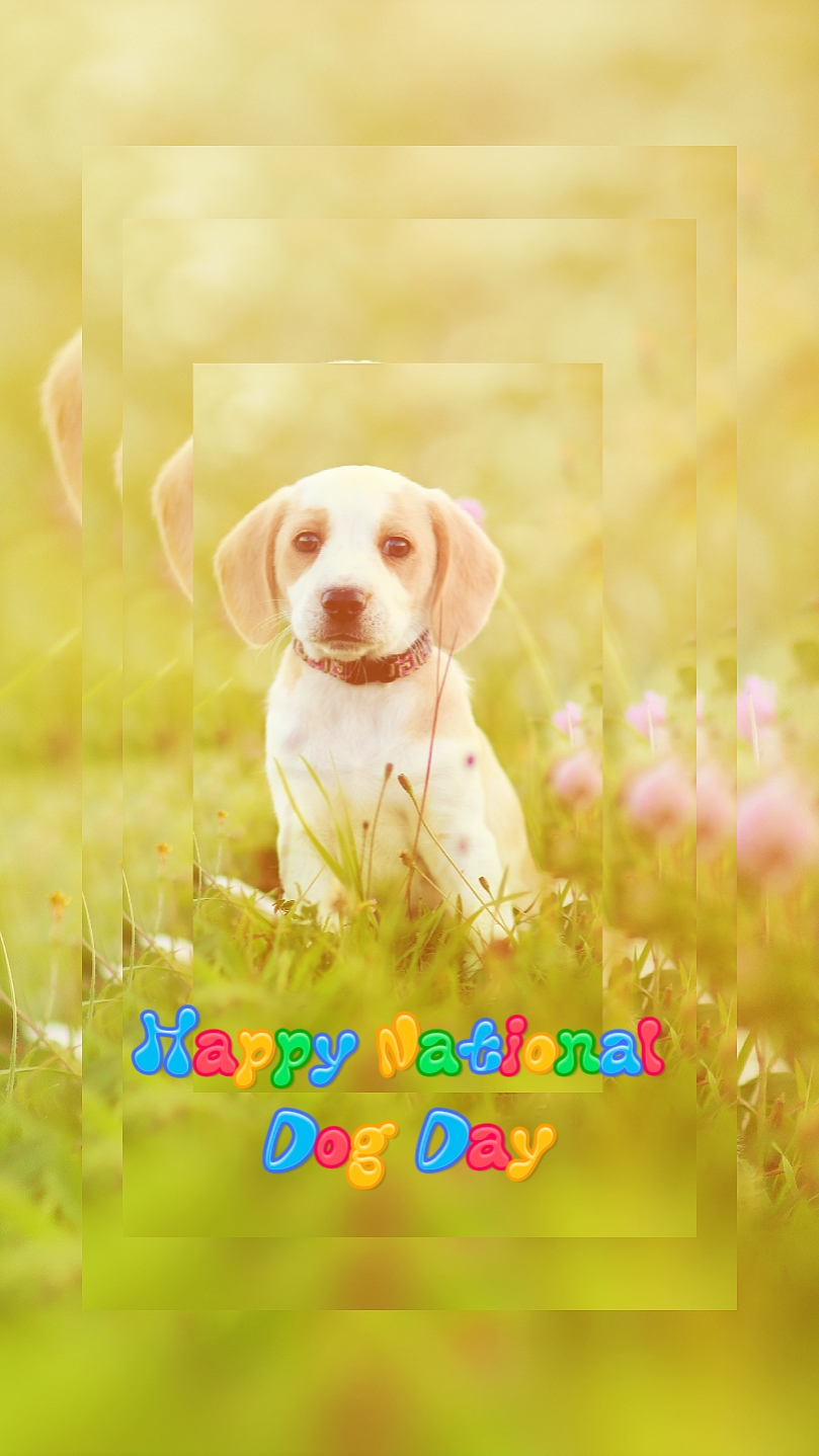 Día Nacional del Perro