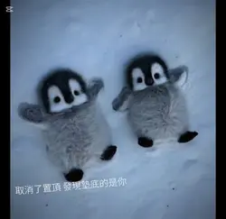 企鵝
