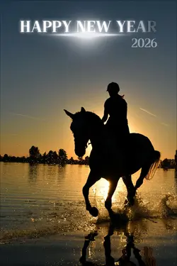 年賀状（写真３枚）