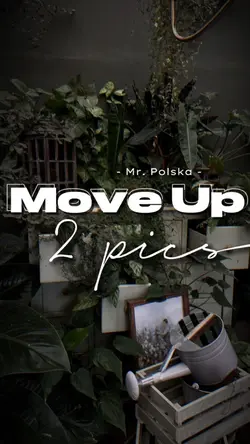 Move up - Mr.Polska 