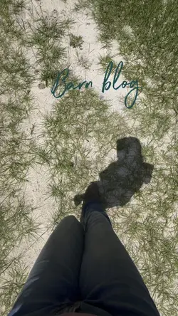 Barn blog💕💕