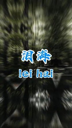 泪桥|leiqiao