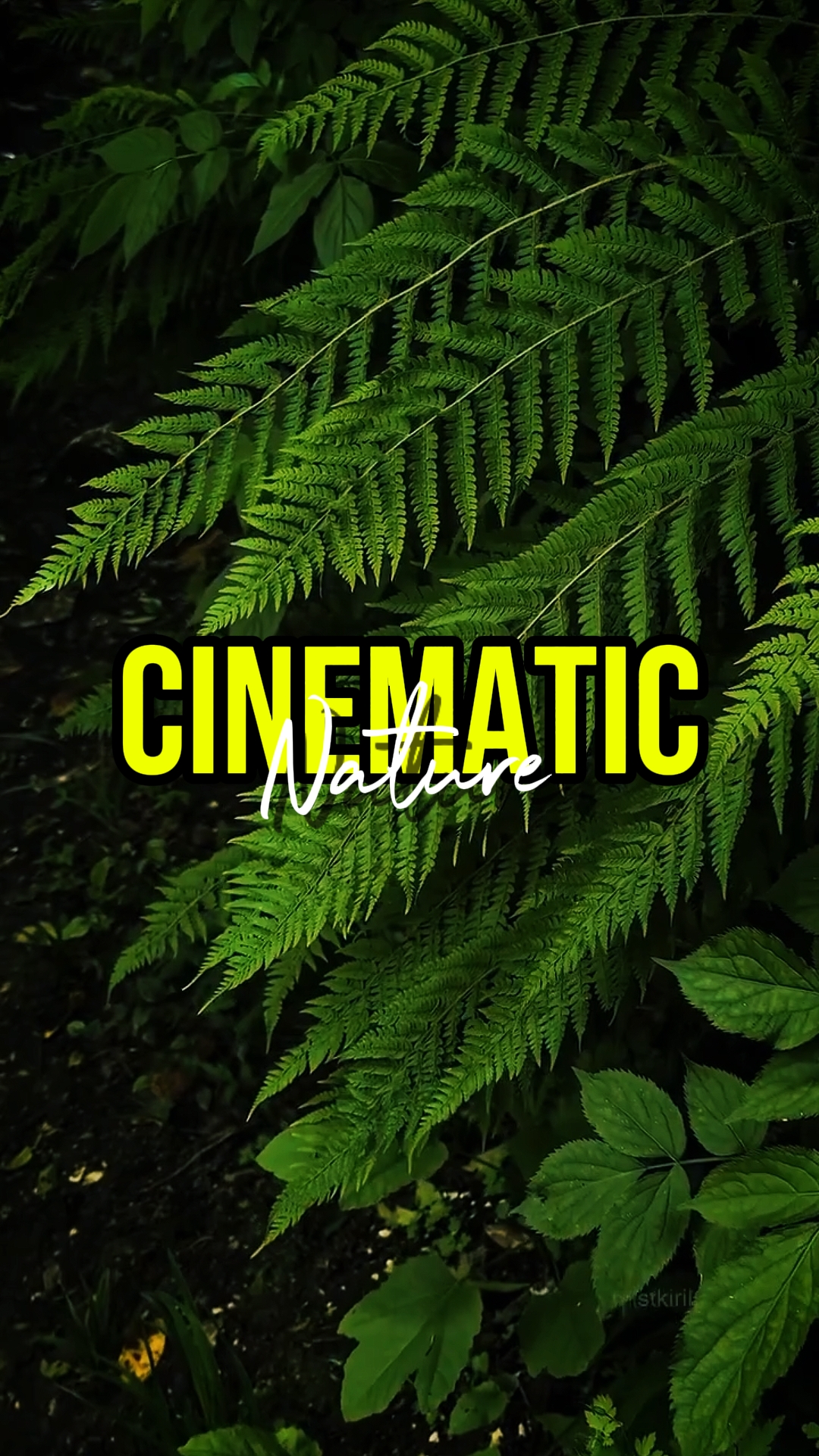 NATUREZA CINEMÁTICA