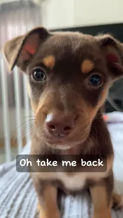 Take me back❤️‍🩹