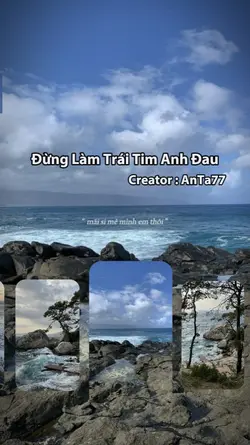 Đừng Làm Trái Tim