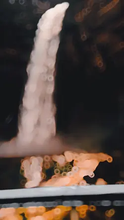 Best Slowmotion 