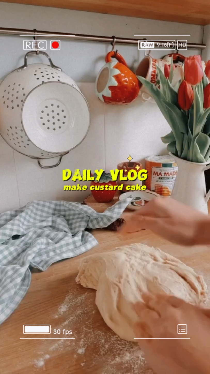 daily vlog cooking