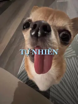 Tự Nhiên-9 ảnh