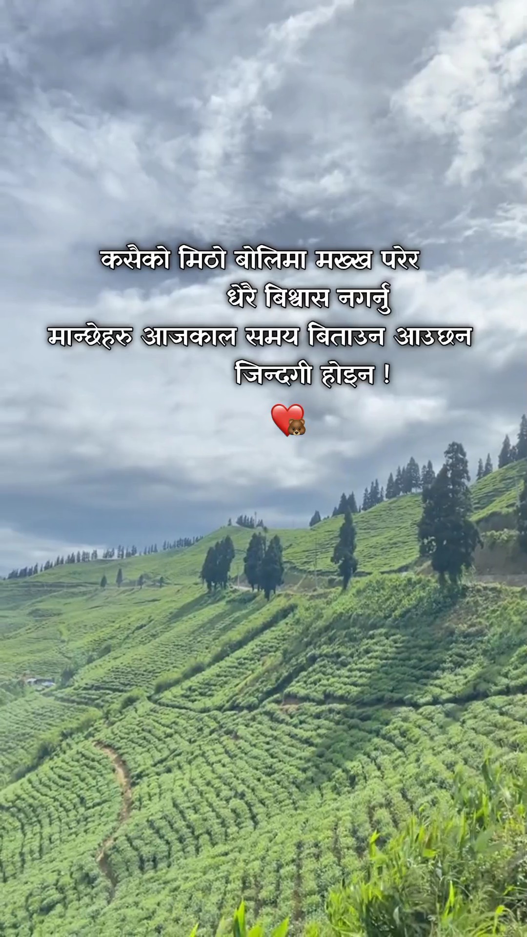 समय बिताउन आउछन >