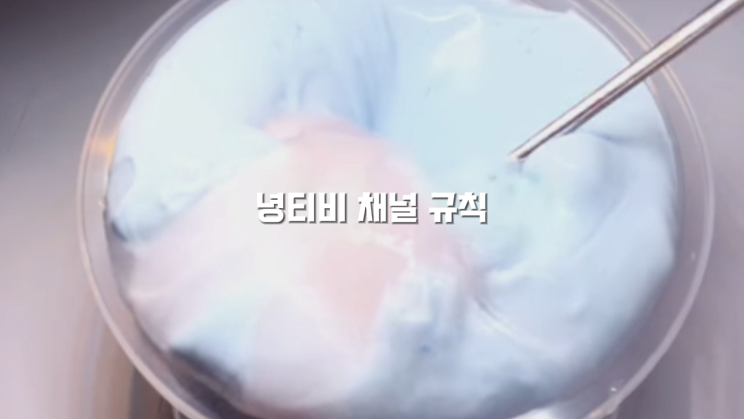 녕티비 채널규칙 재업