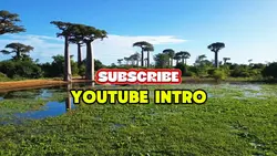 Youtube Intro