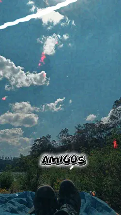 Si Me Aleje De Amigo