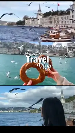 Travel Vlog