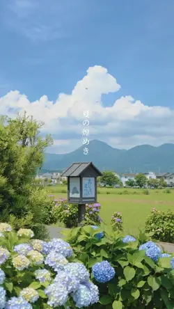 夏の煌めき