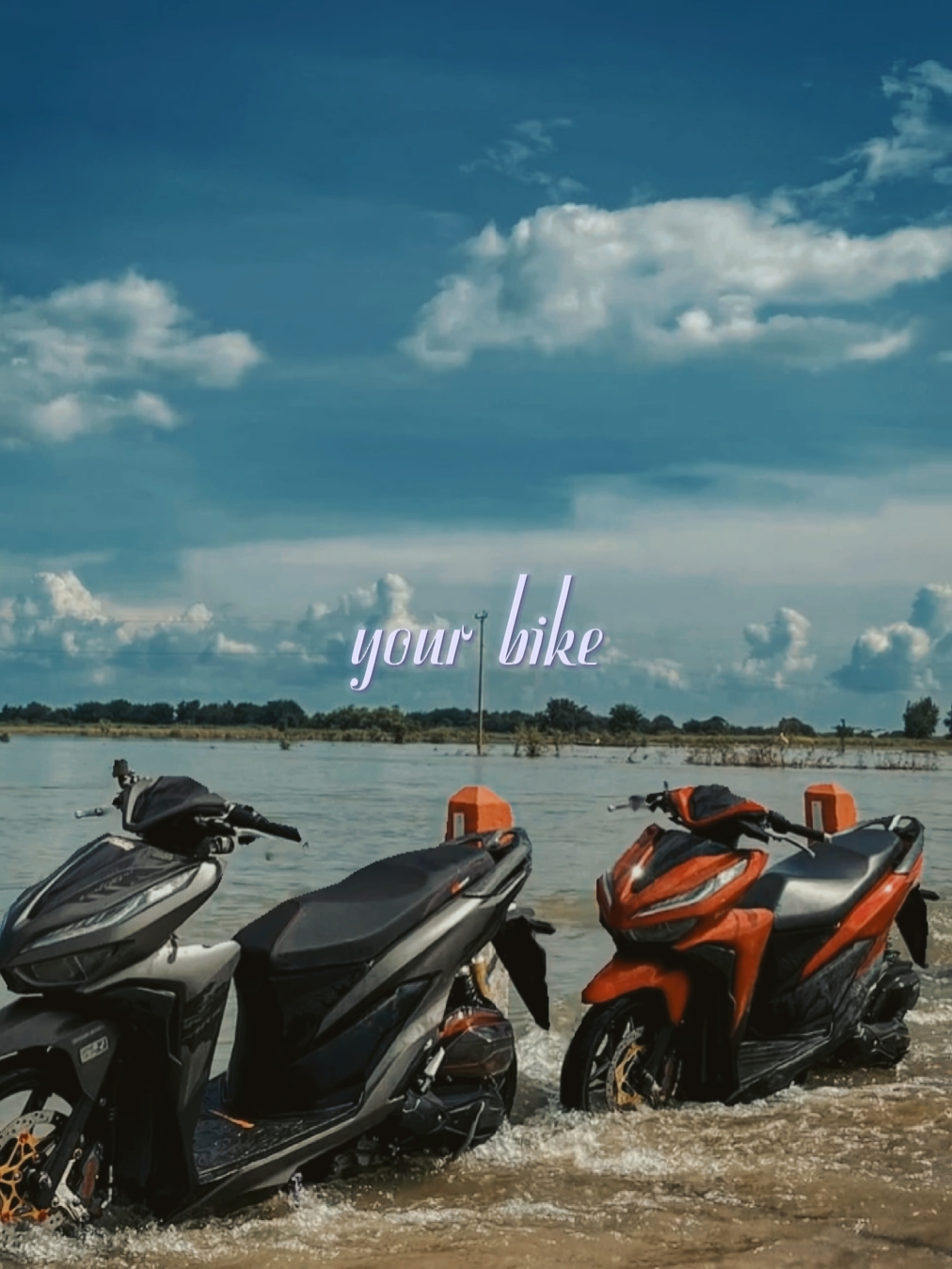 Your Bike