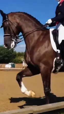 Slowmo