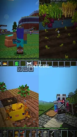 Minecraft