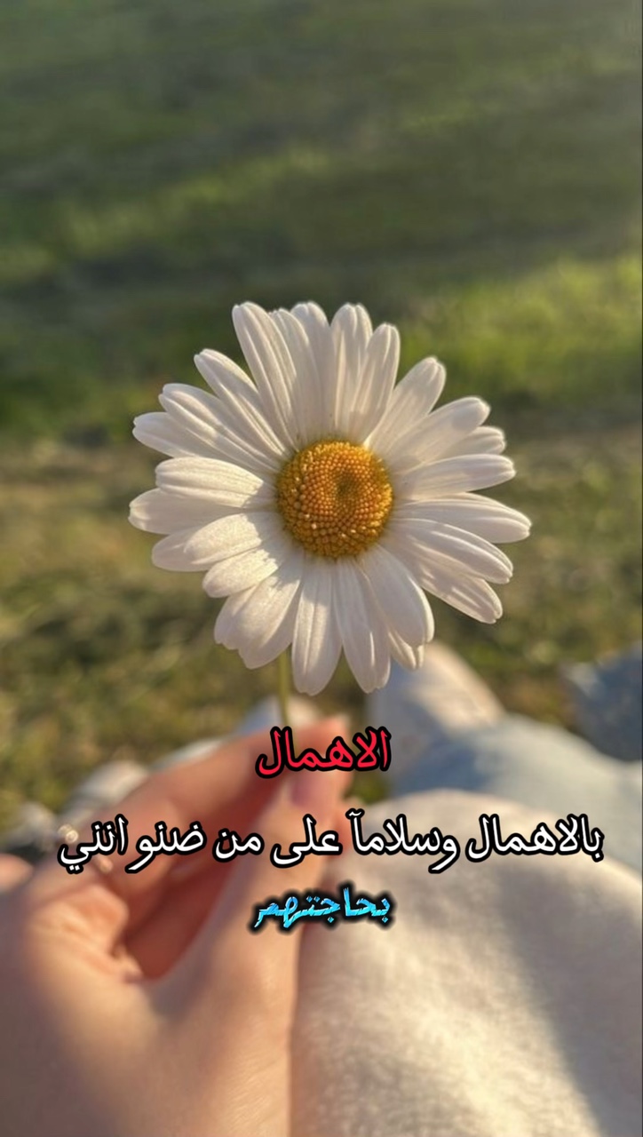 تابعني 🫡🇮🇶